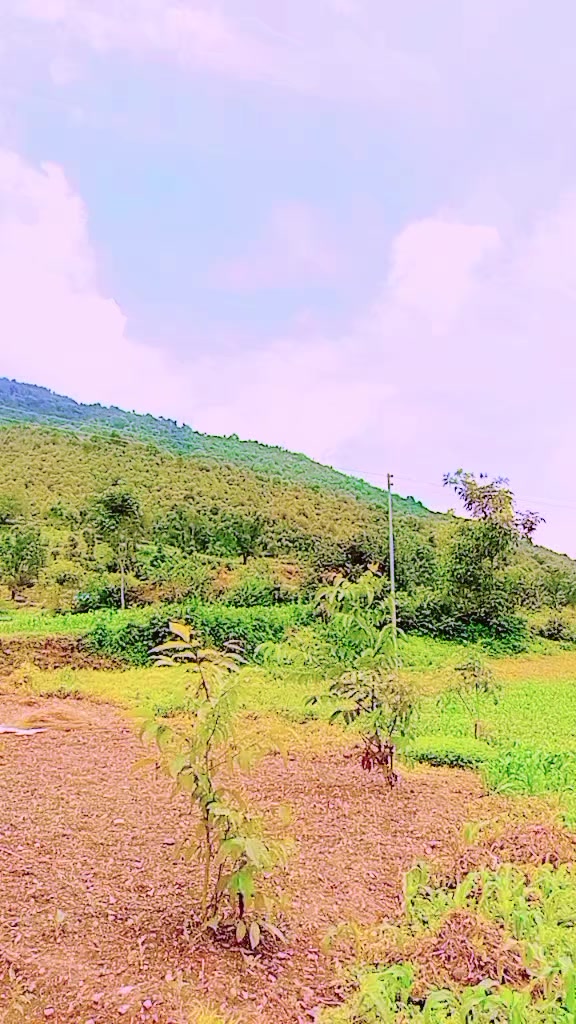 @Susila Shahi