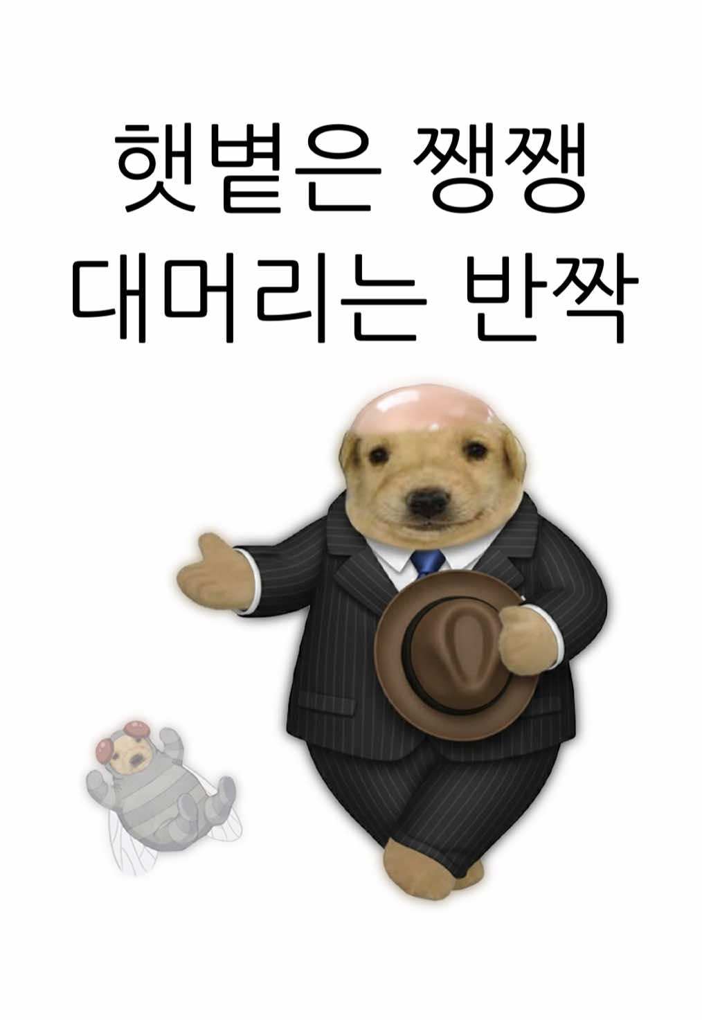 @아무개란