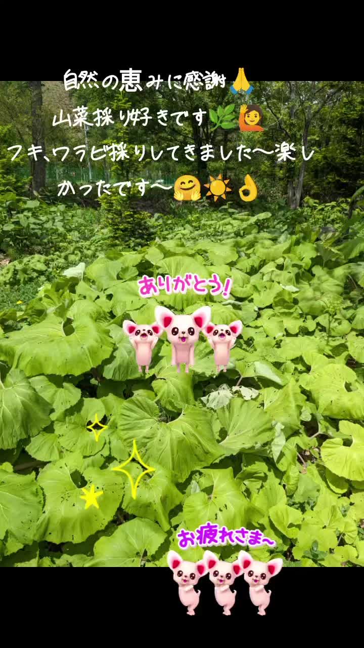@ๆๅญ๐๐ฌ๐ง๐