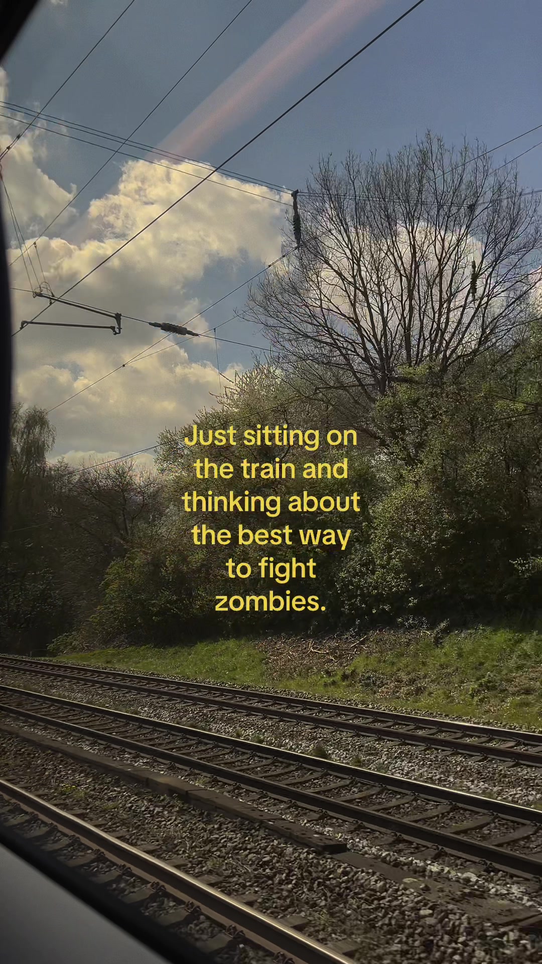 @TwdHolic