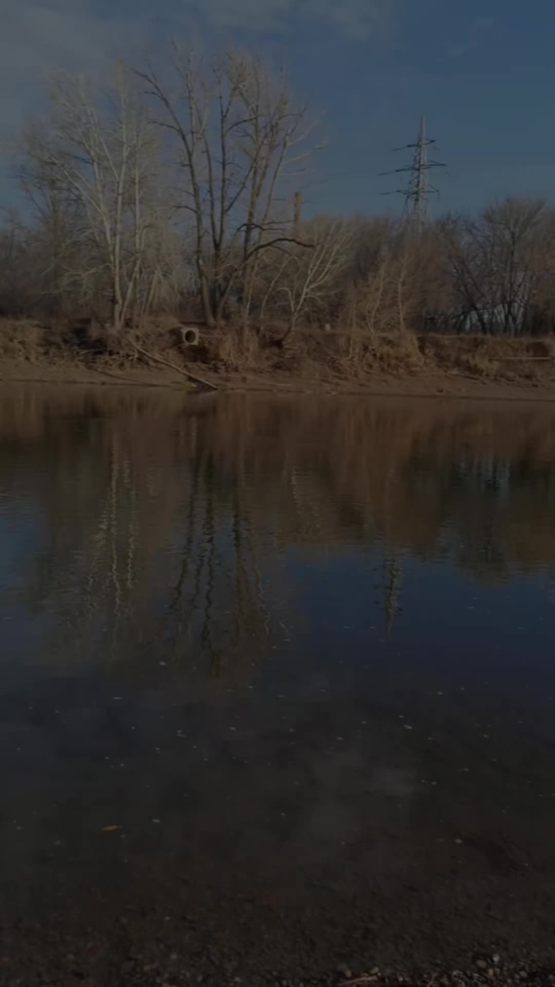 @Николай Боленко
