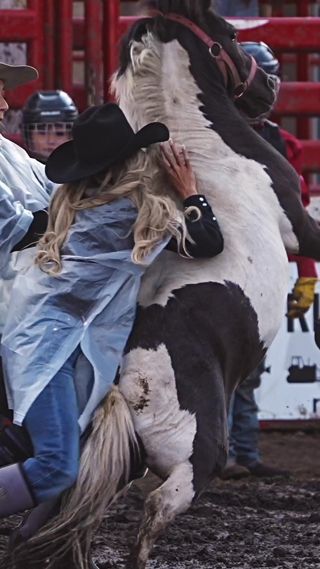 @Hanginghorses