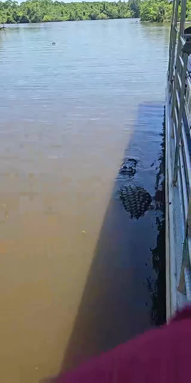 @eiggyday
