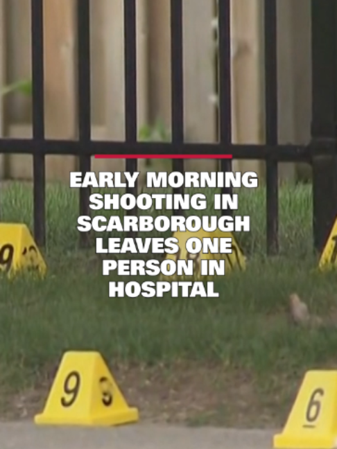 @cp24