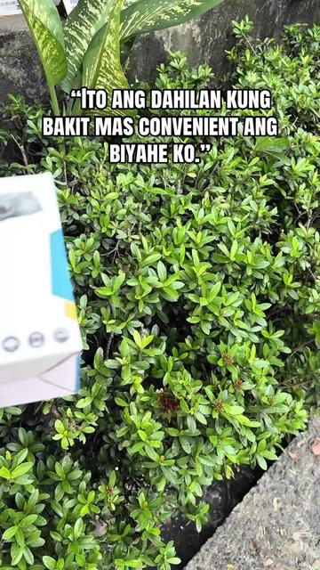 @Tito Onifff