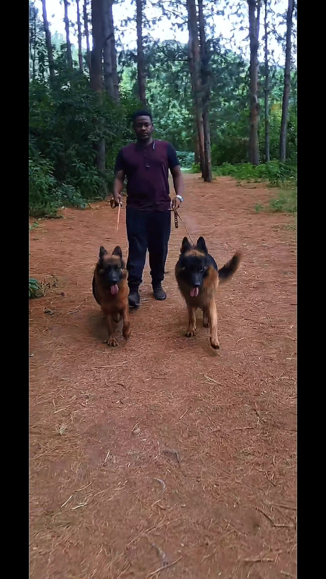 @Kims Kennel 🇰🇪