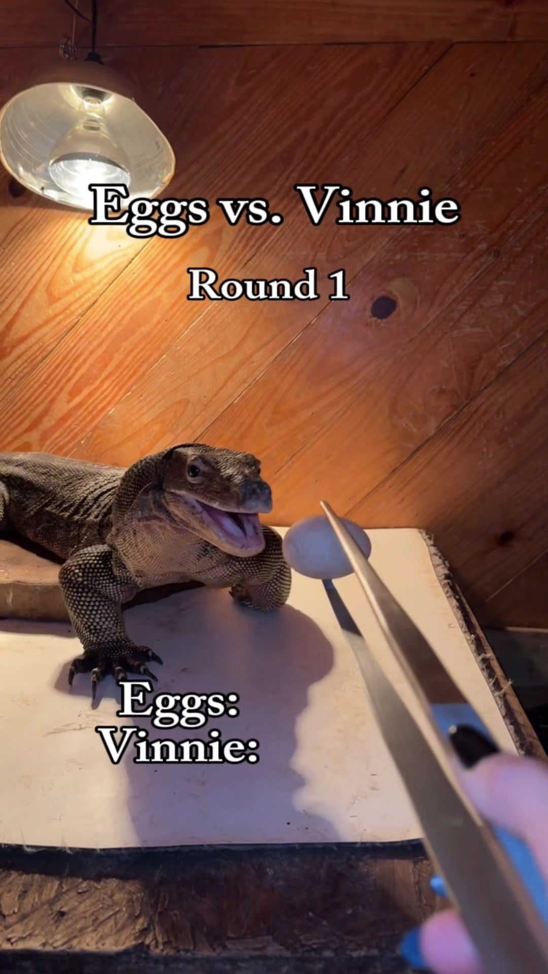 @Gator Country TX