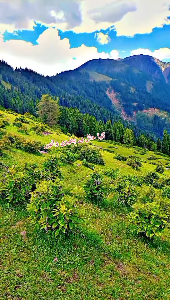 @انجان لڑکی