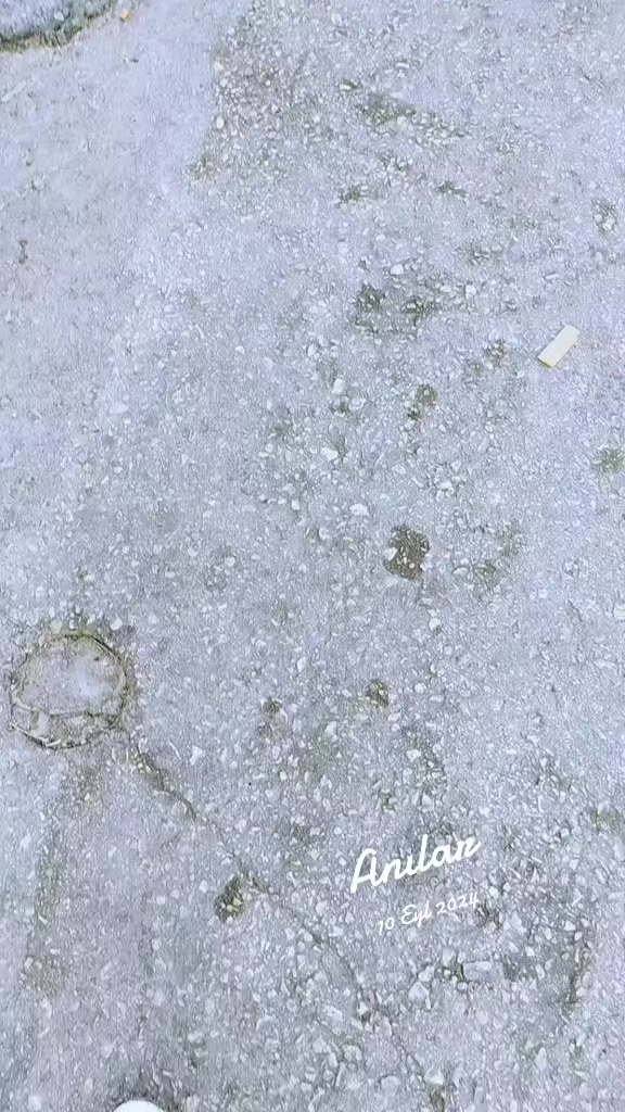 @📌𝕄𝔼ℍ𝕄𝔼𝕋 𝕐𝔸ℕ𝔸ℝ𝔻𝔸Ğ📌