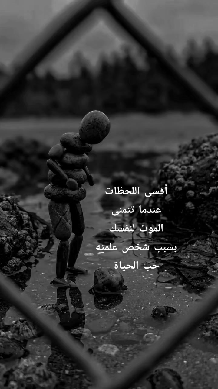 @المغير وافتخر ❤️⚔️