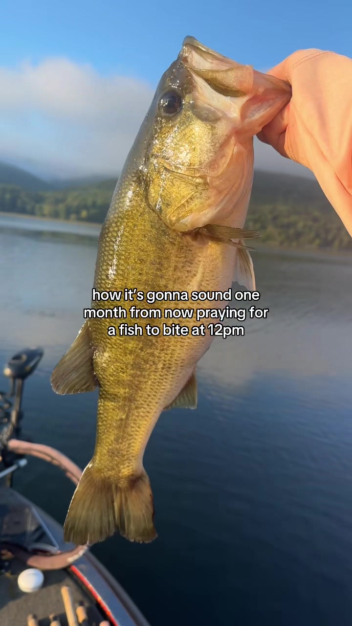 @Southeastern Outdoors