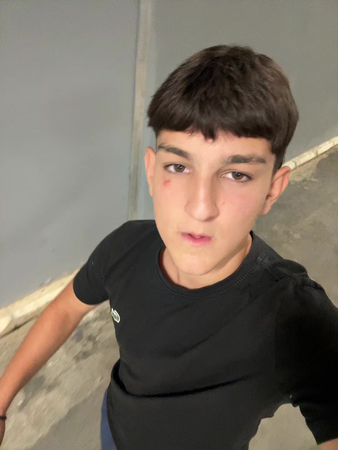 @freegulii