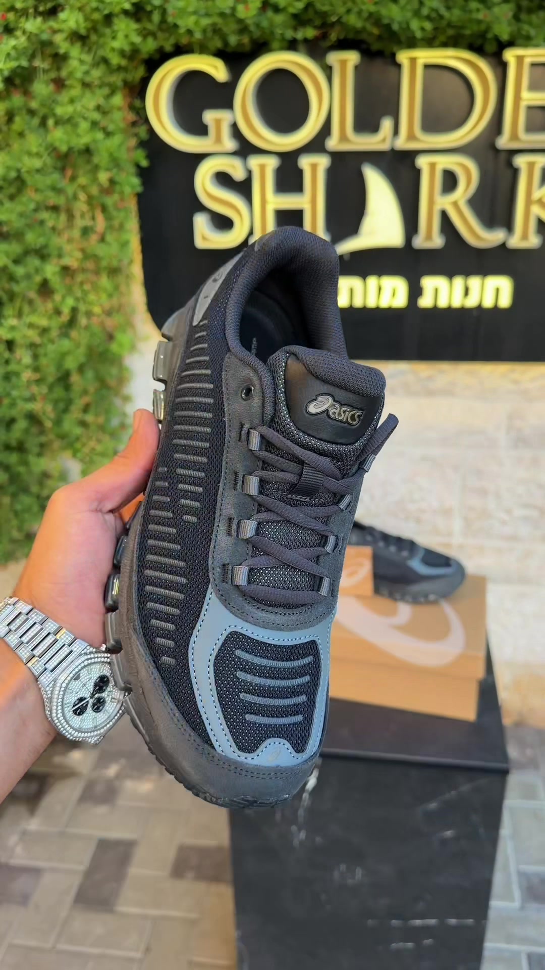 @🦈 GOLDEN SHARK 🦈