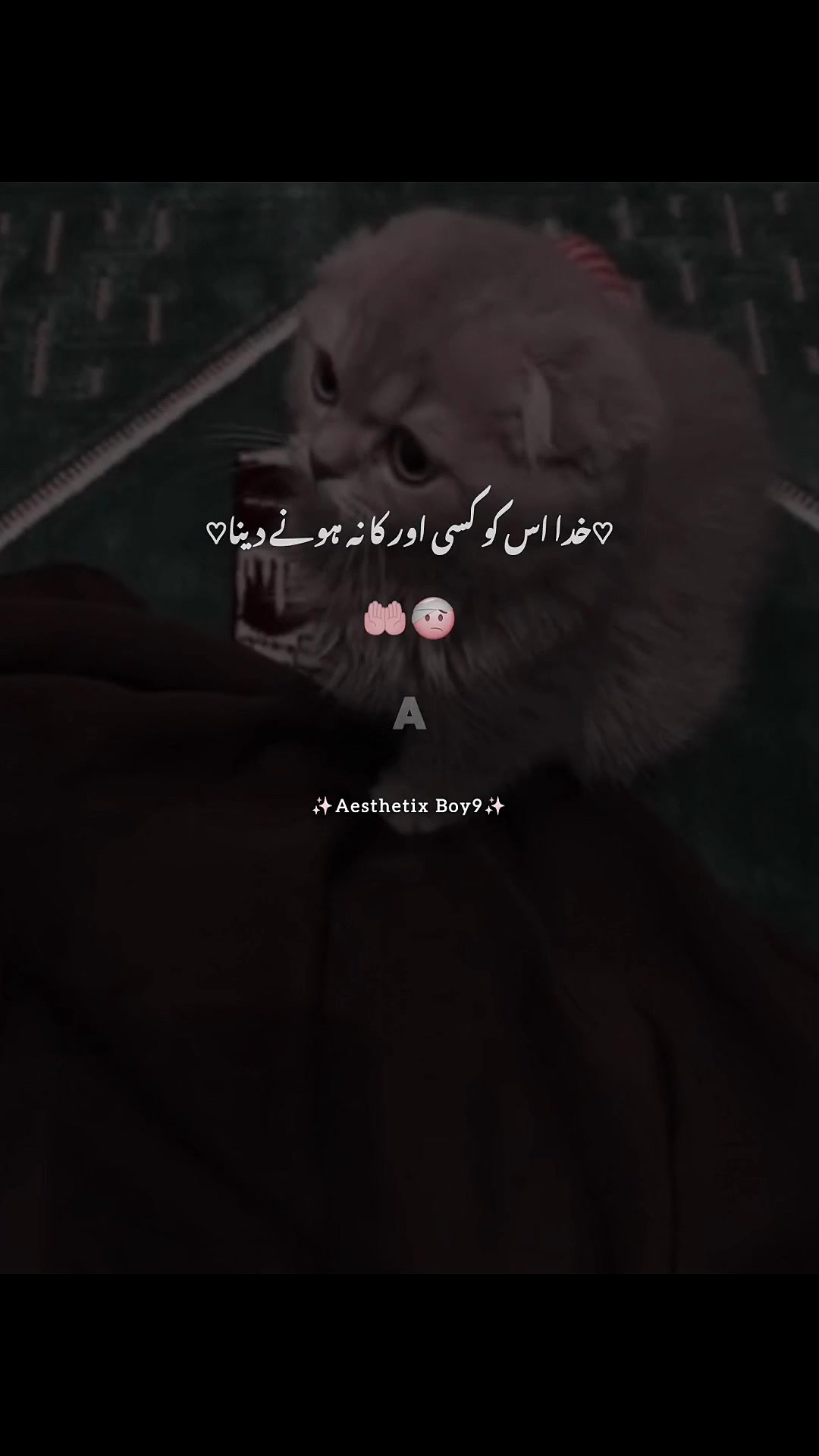 @جھوٹا لڑکا🥀