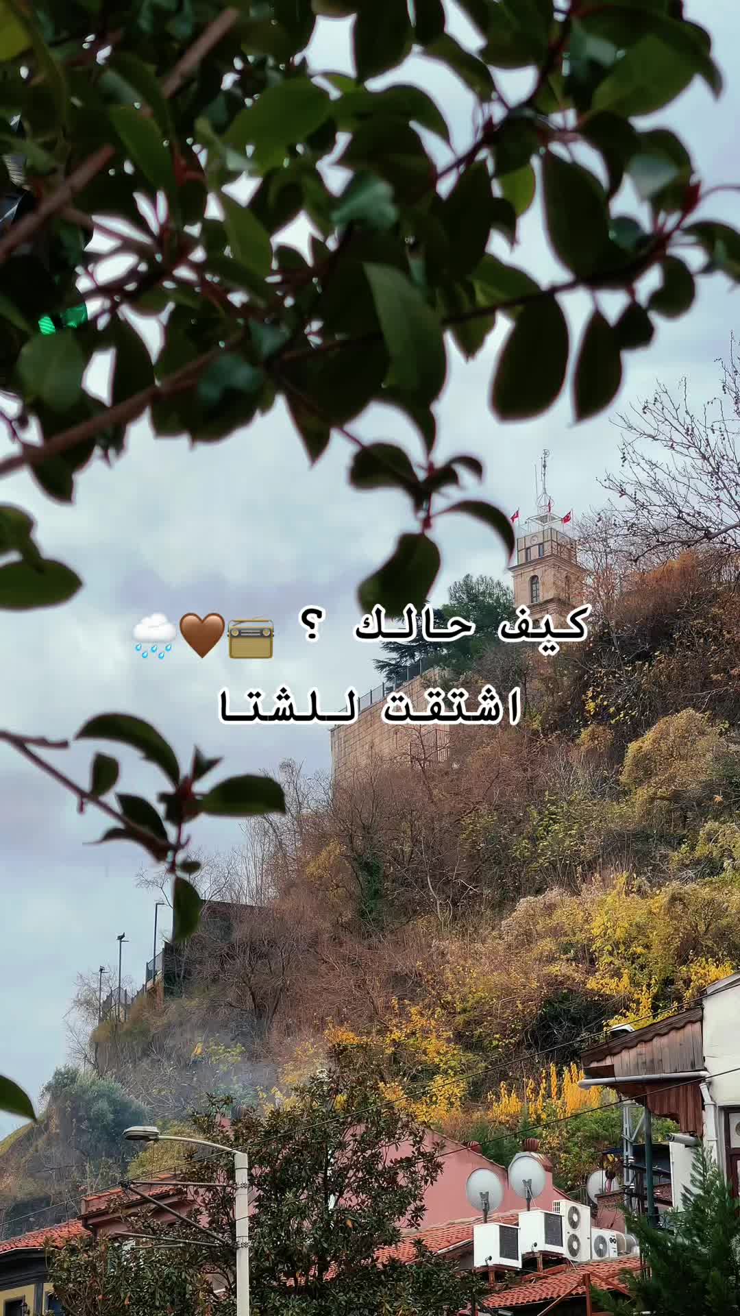 @✨𝒜𝒾𝓈𝒽𝒶🕊️