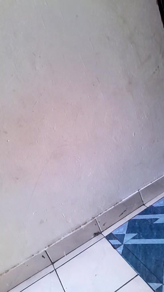 @ismahanhussein0