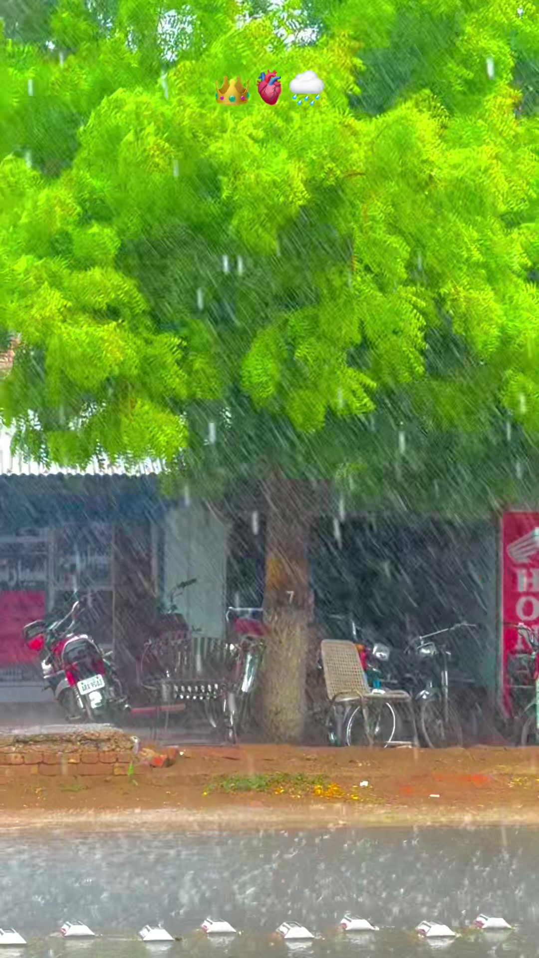 @پنجابی کلچر 🌾🍂