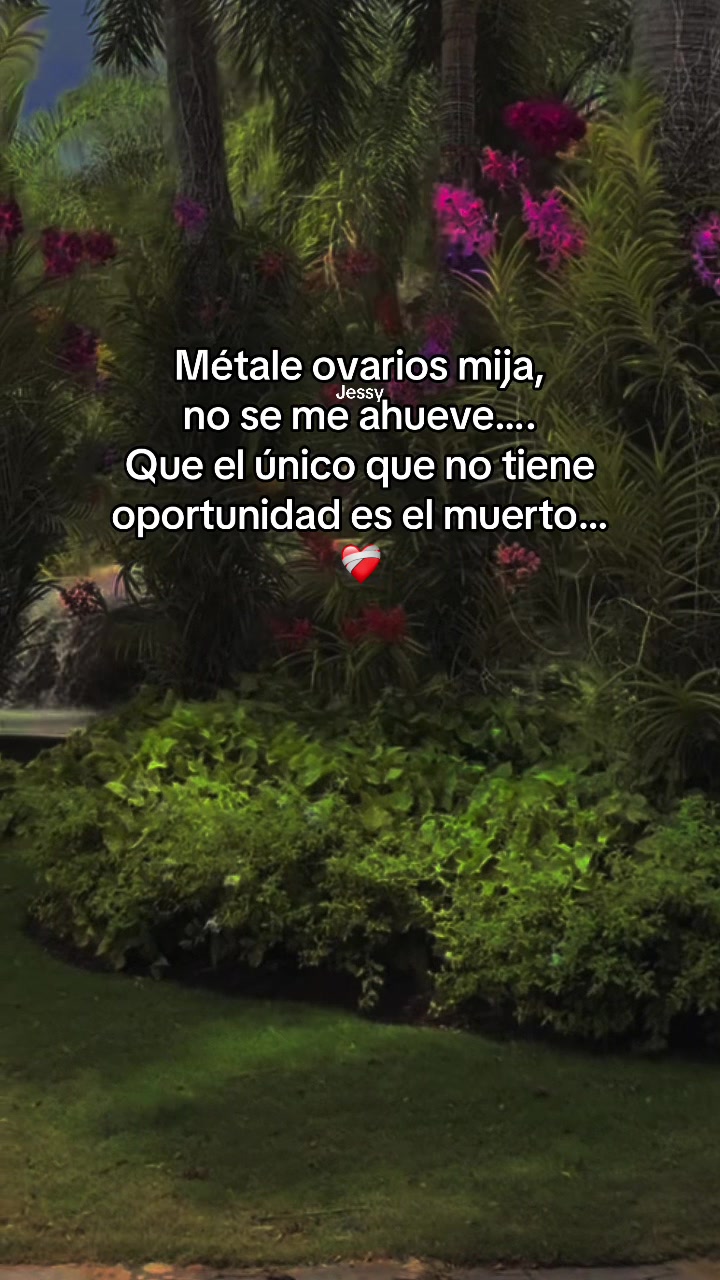 @Jessy Serrano