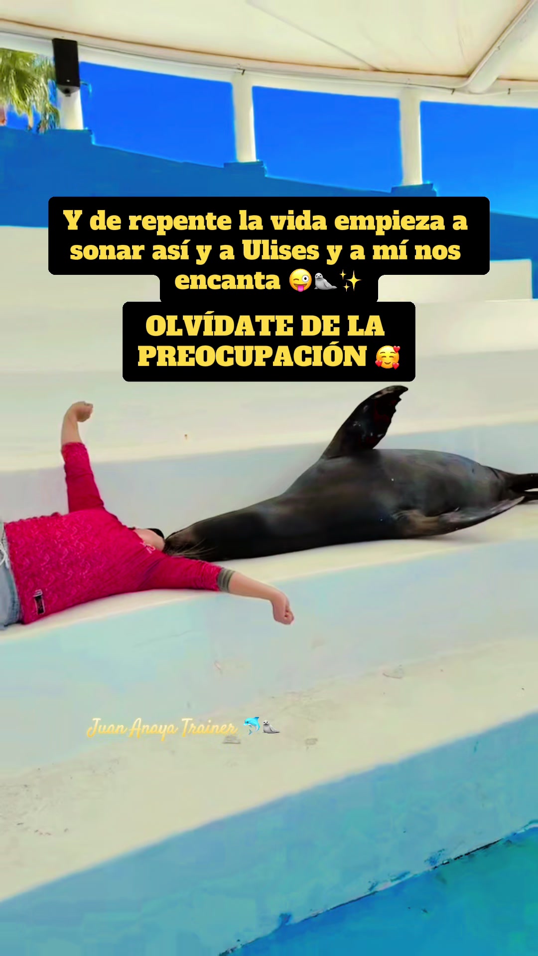 @Juan Anaya Trainer 🐬🦭