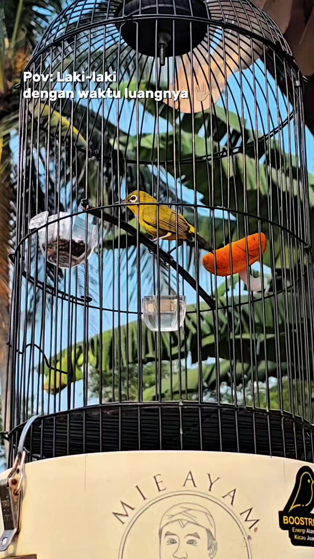 @NDX BIRD FARM