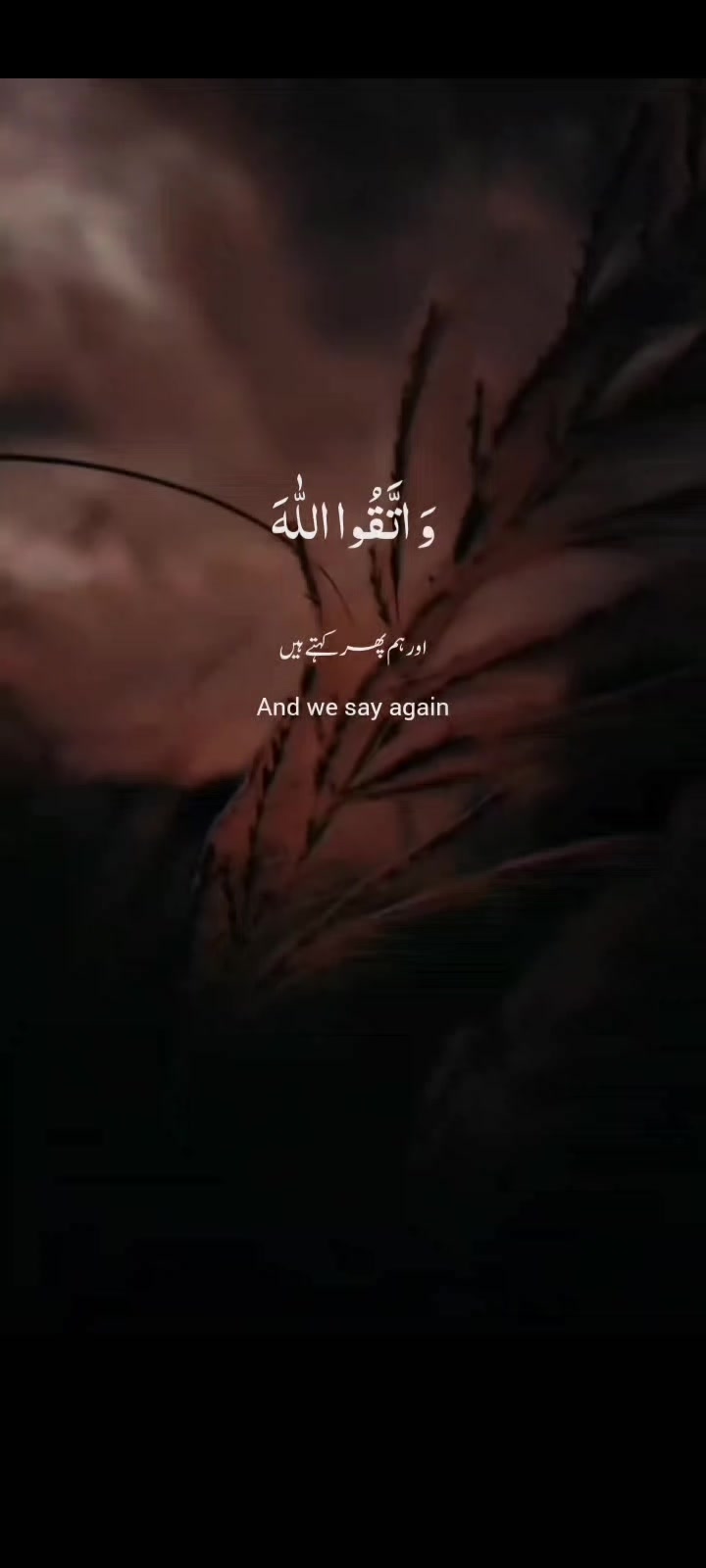 @Islamic editor