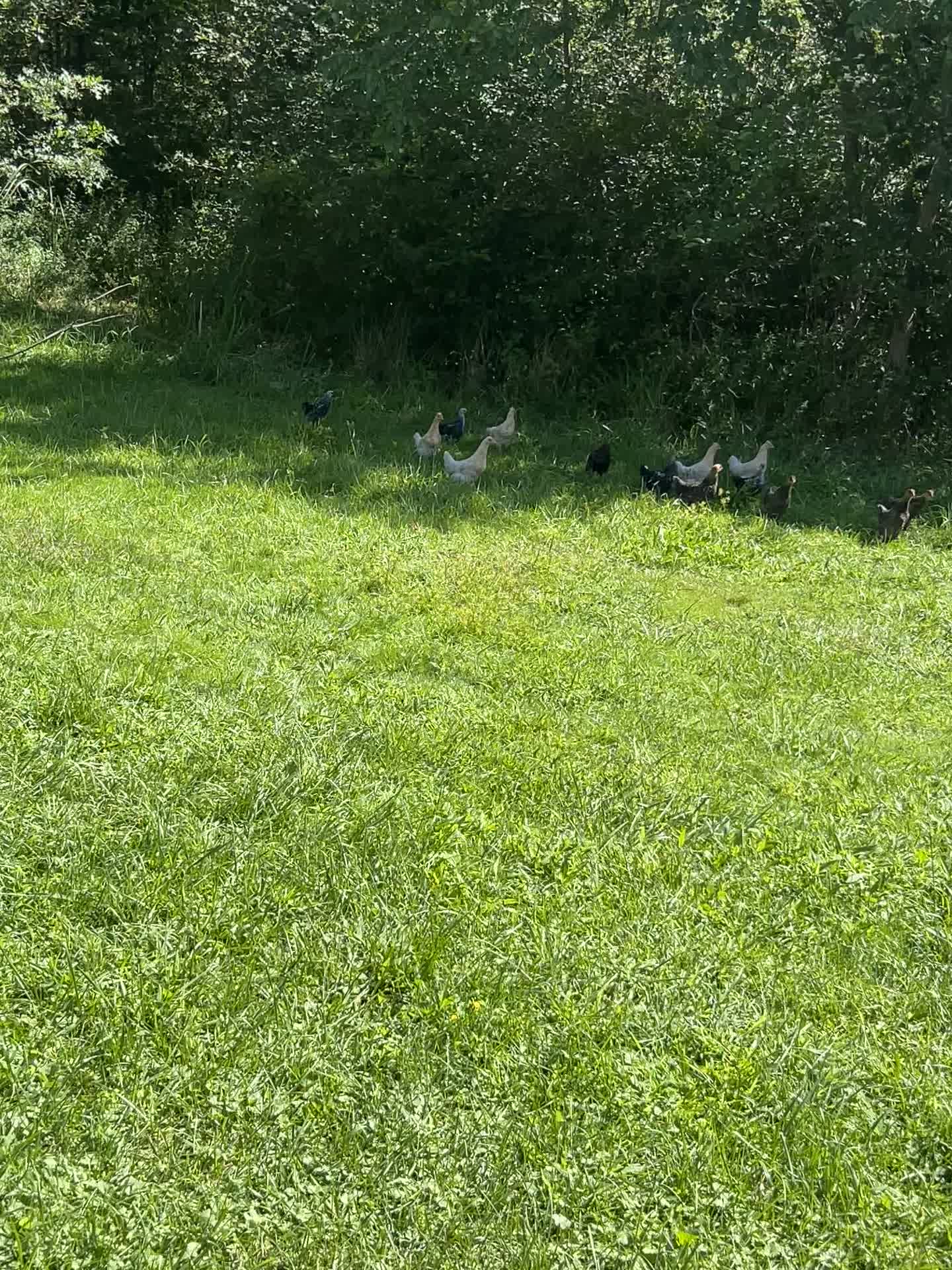 @FishTalesStories