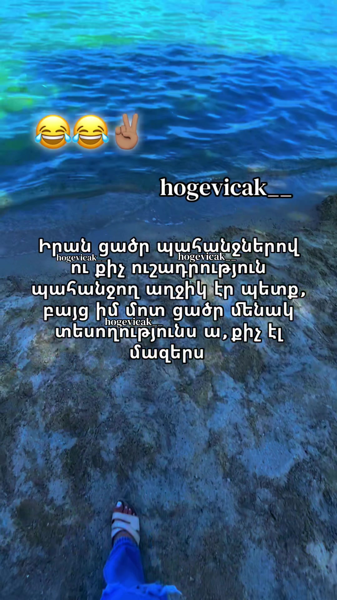 @hogevicak___