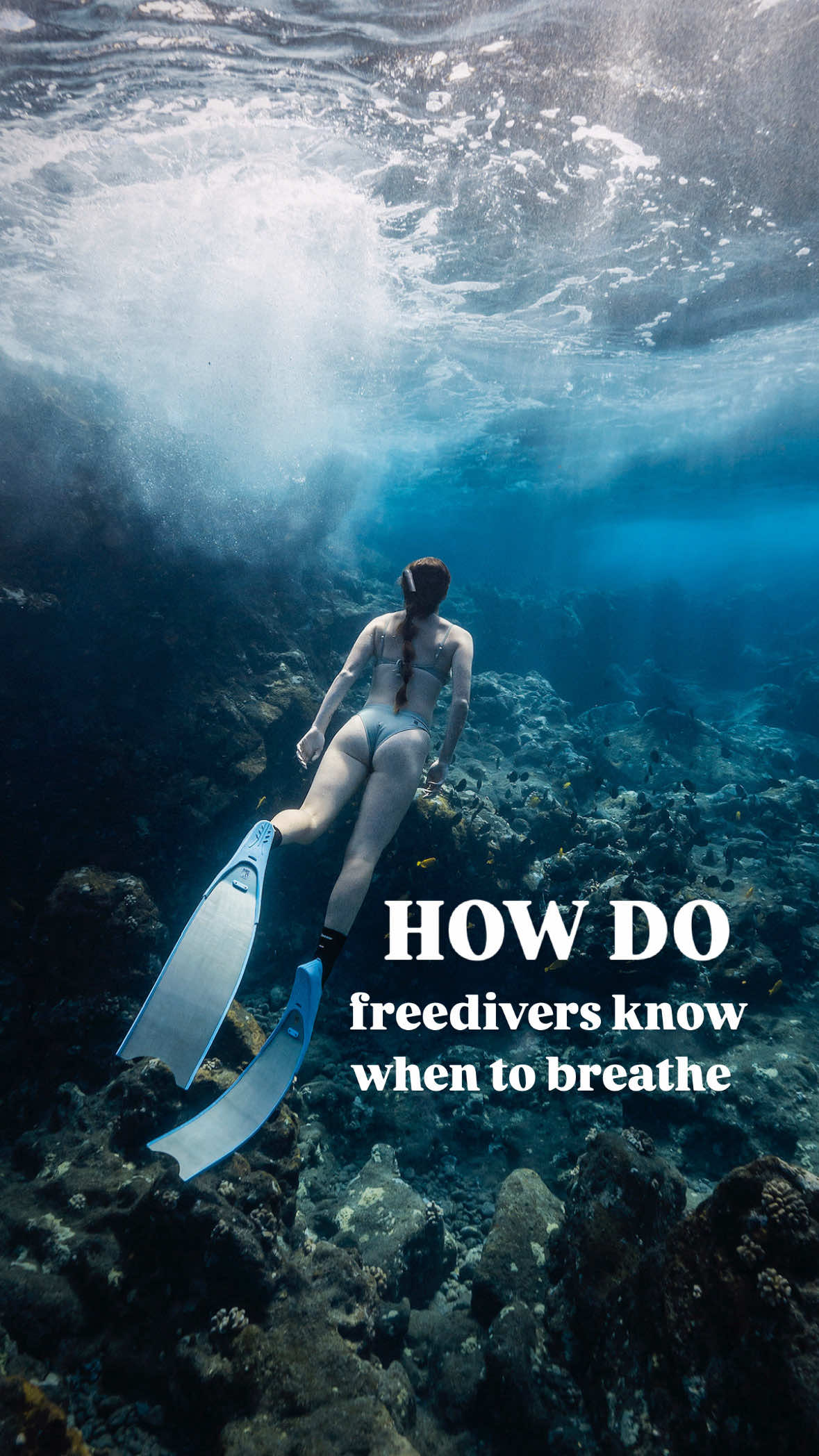 @freediver_chiara