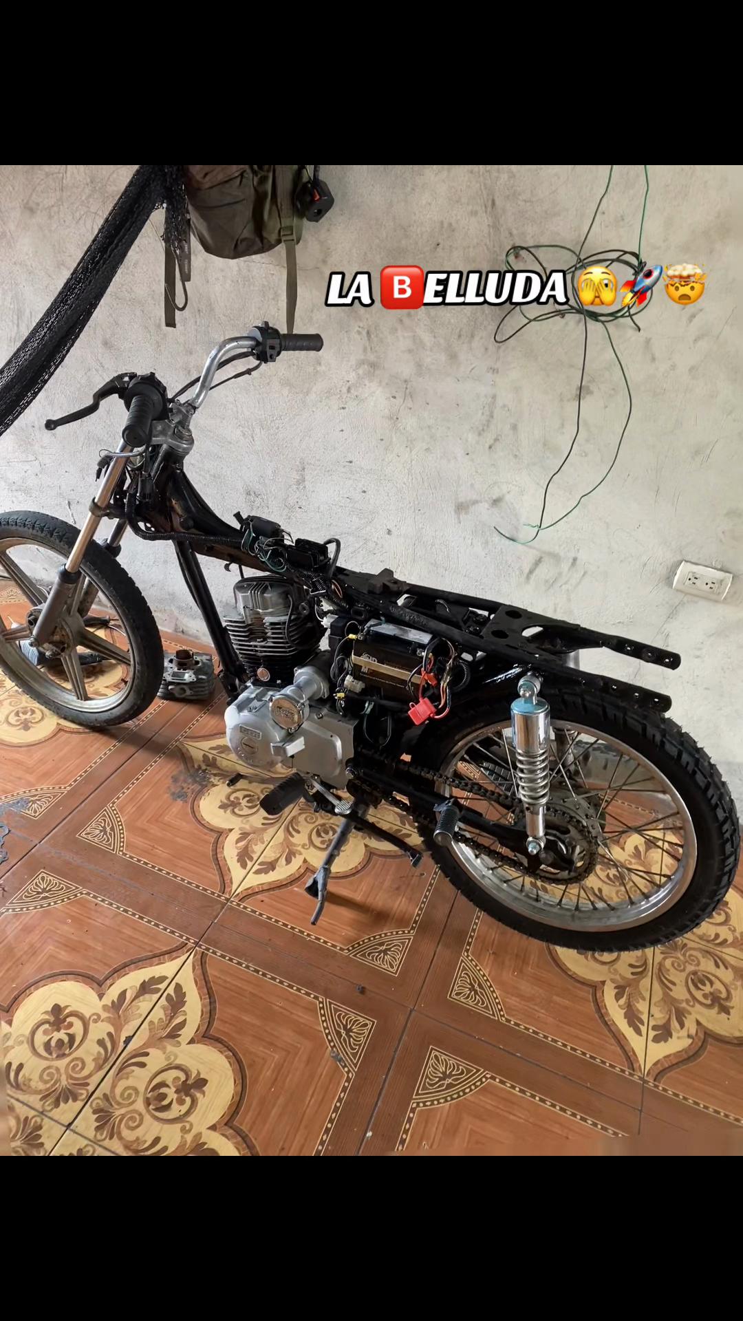 @LA 🅱️ELLUDA