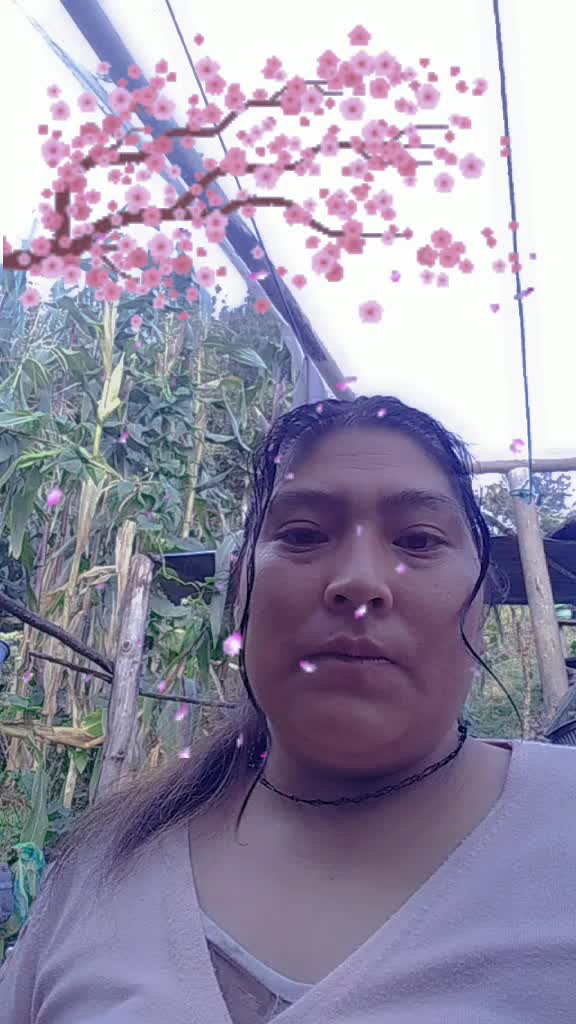 @carmen