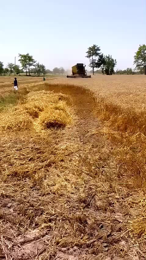 @Aliraza 8080