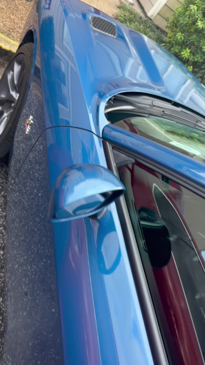 @Top&ensp;Dog&ensp;Detailing