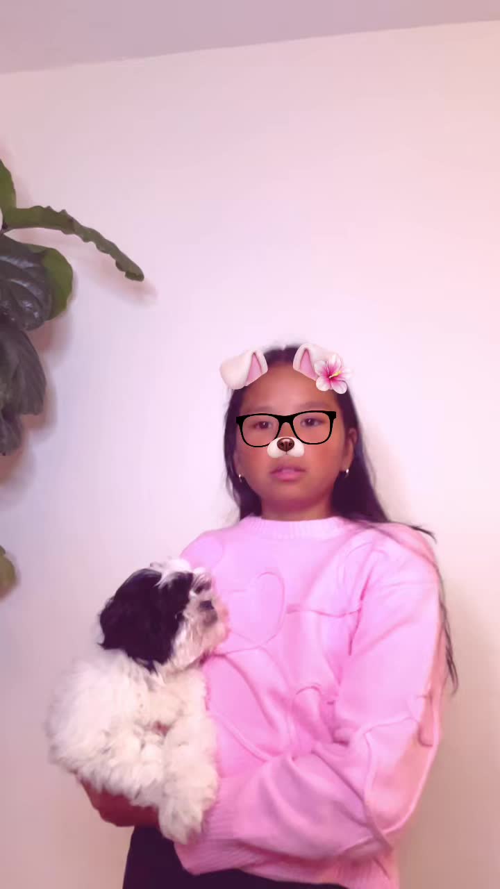 @camy.gdigitalcreator