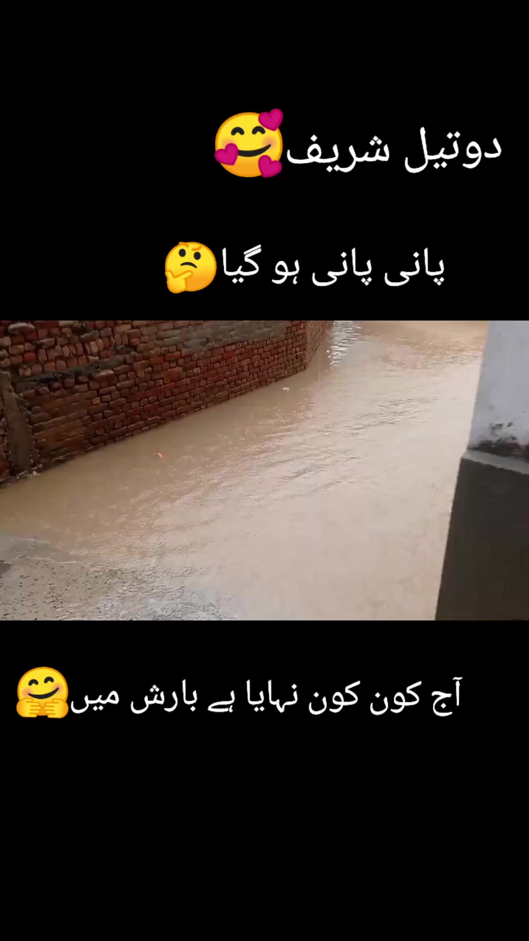 @Rana Anas9737