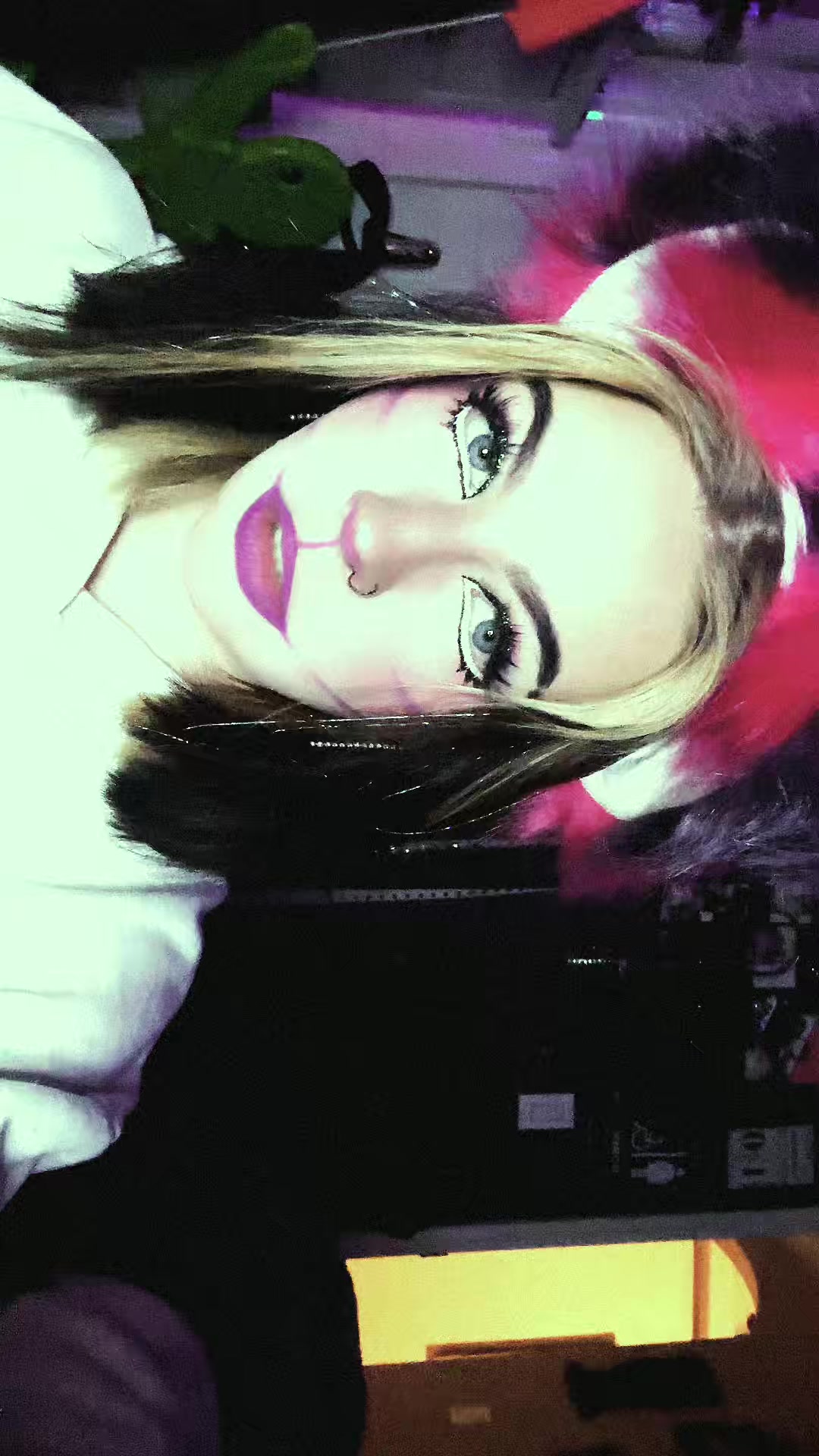 @allycat🐈&zwj;⬛