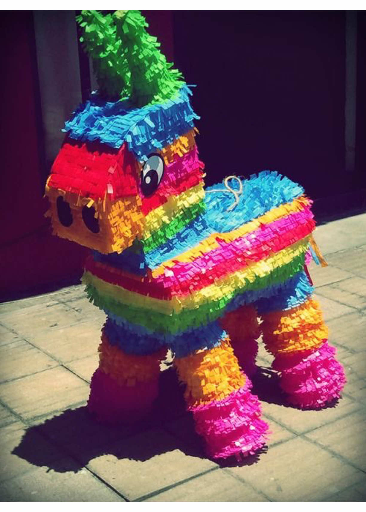 @&ldquo; [ INSPLATULATED 🌈]  &rdquo;