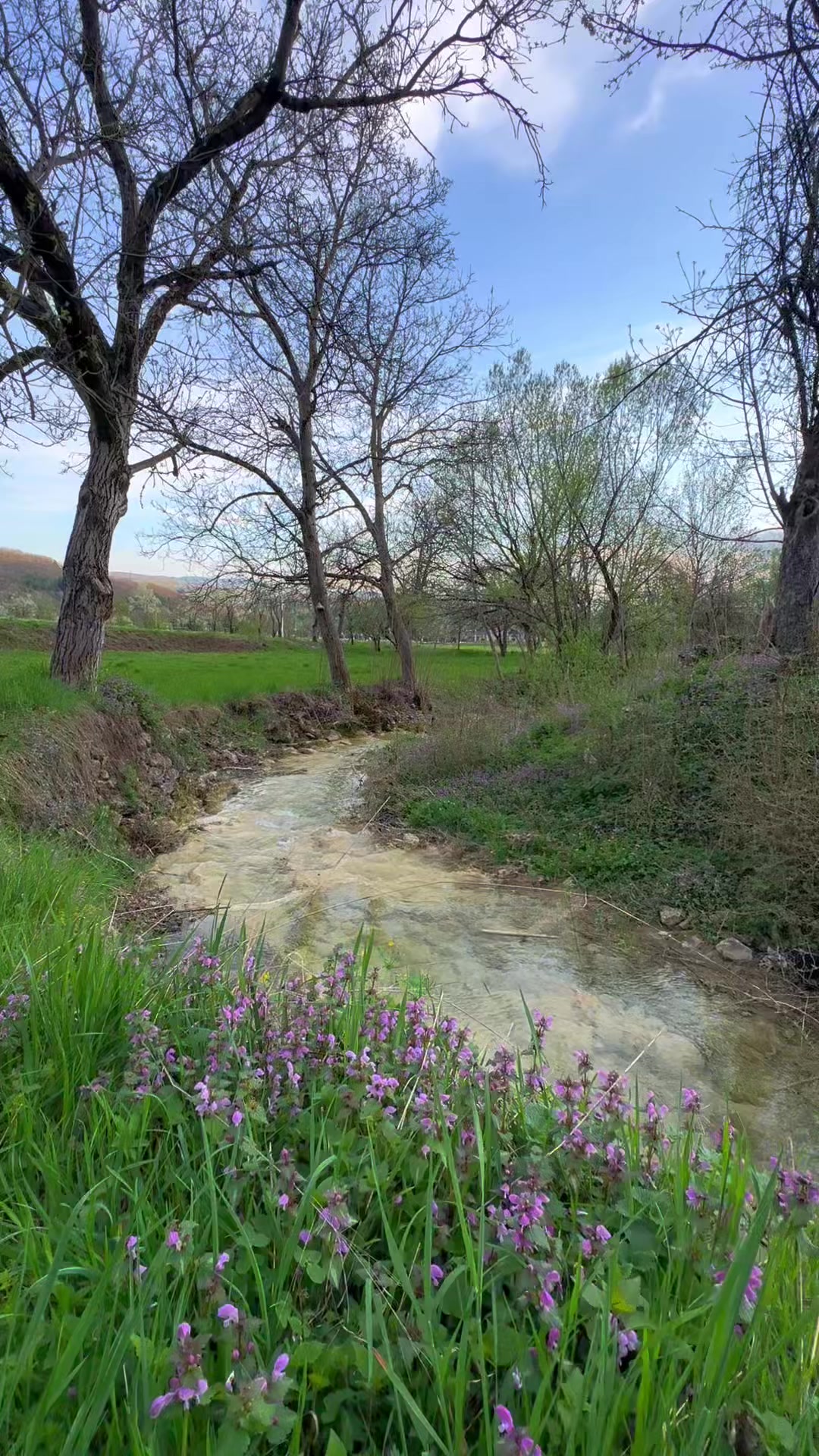 @Visit Berane