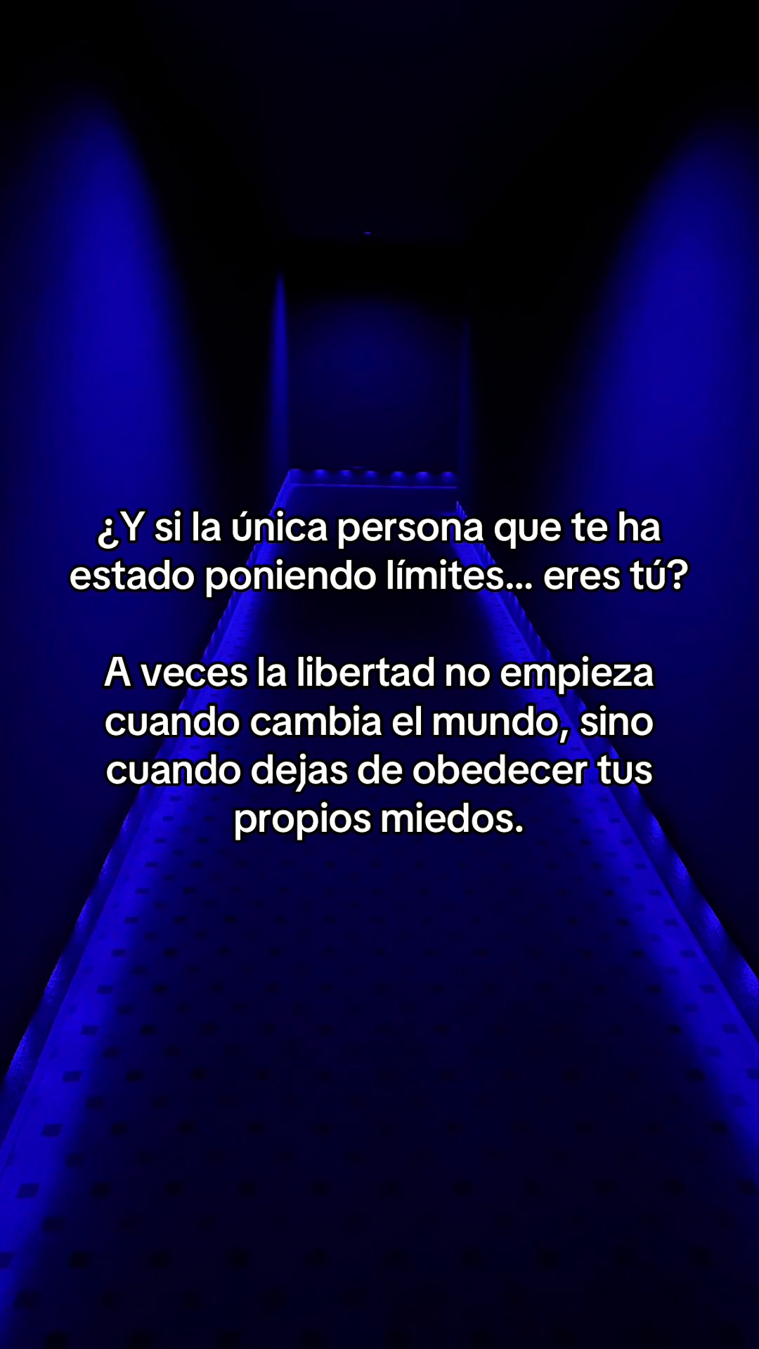 @Constanza Aboytes 보람