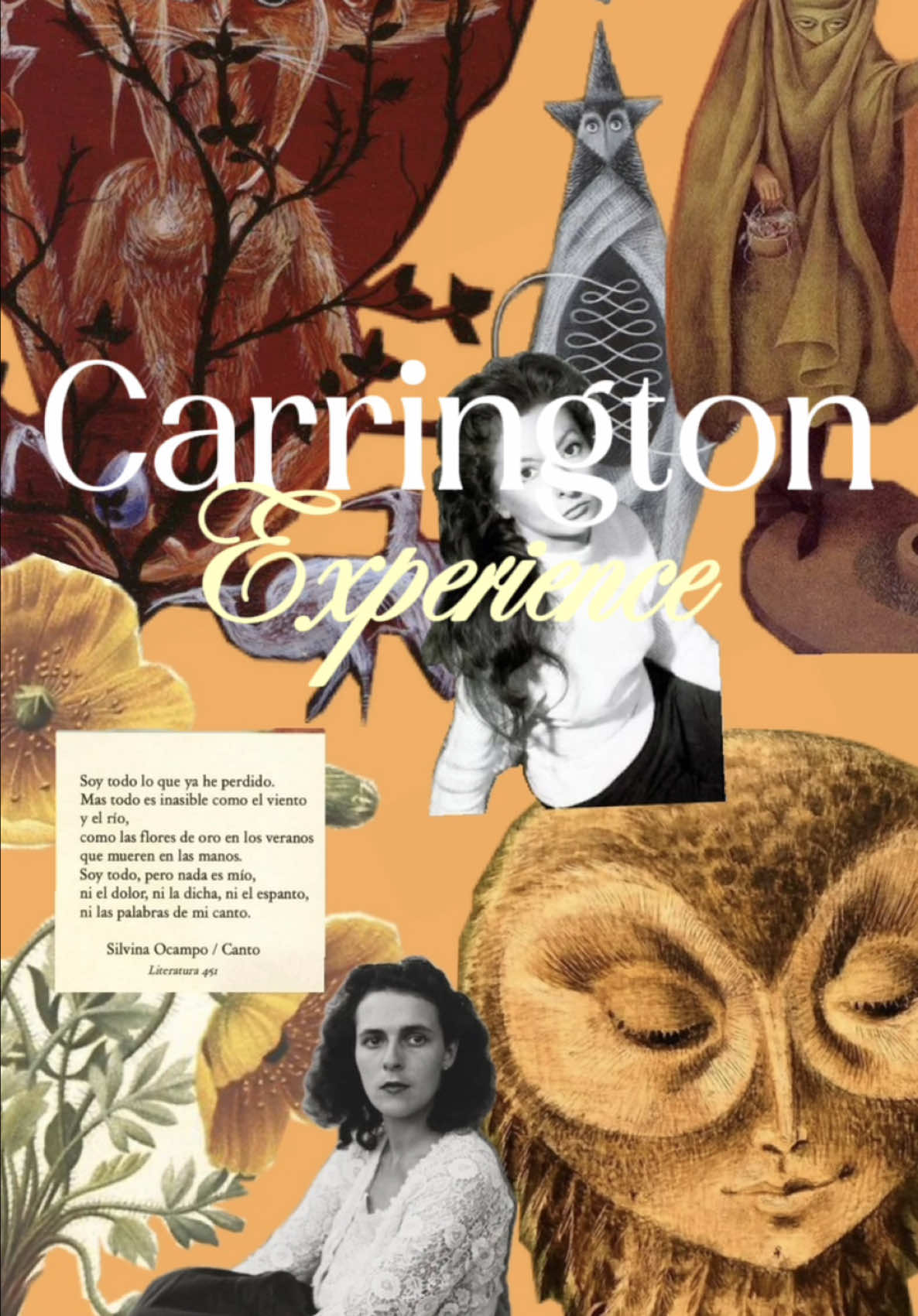 @Charlie Recomienda