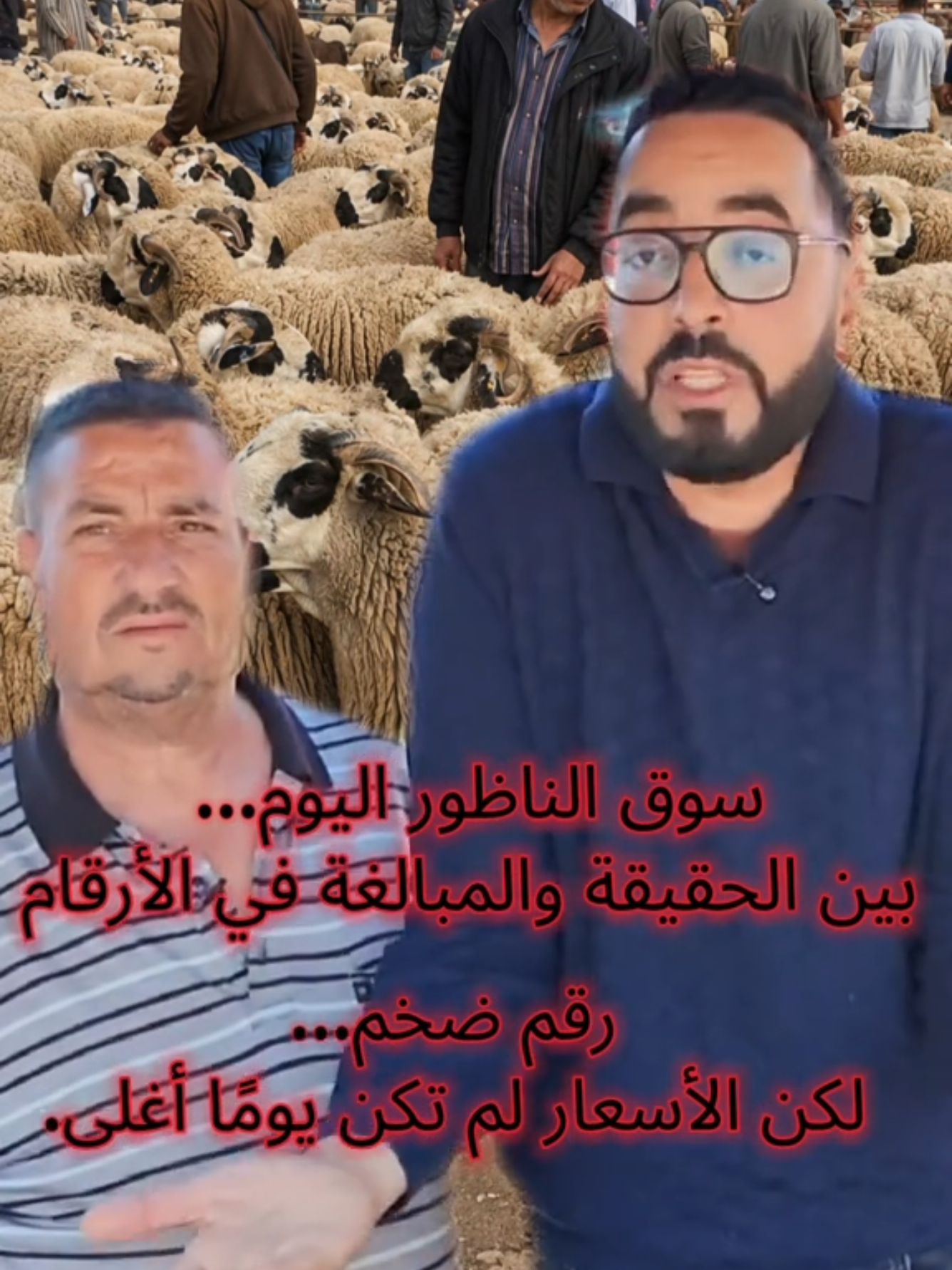 @Voices of Rif