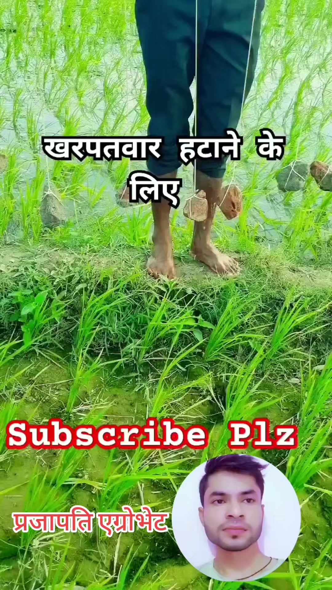 @Prajapati Agro Vet