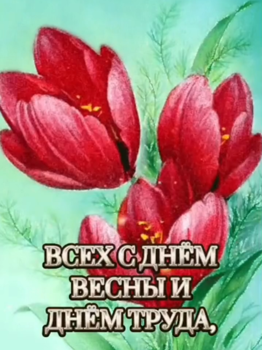 @Светлана(✿◠‿◠)
