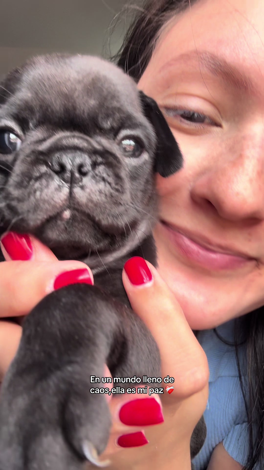 @BRUNNA PUG | PET LIFESTYLE 🐾