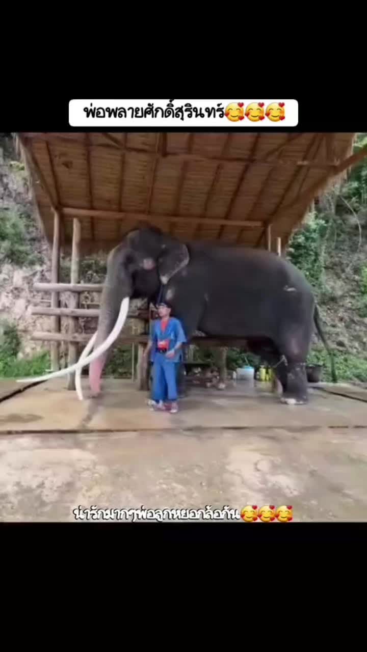 @นุ^-^ 🐹🐹💥🎧
