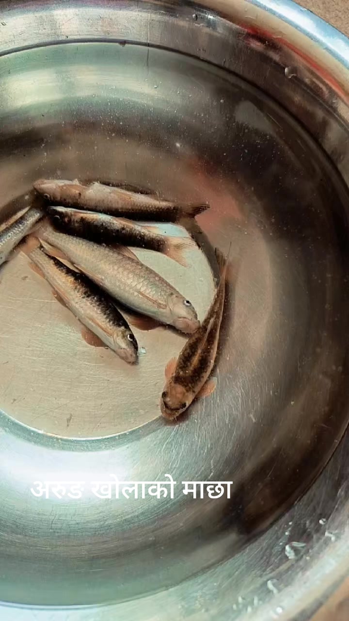 @सुनिता श्रेष्ठ 💐❤️🔥