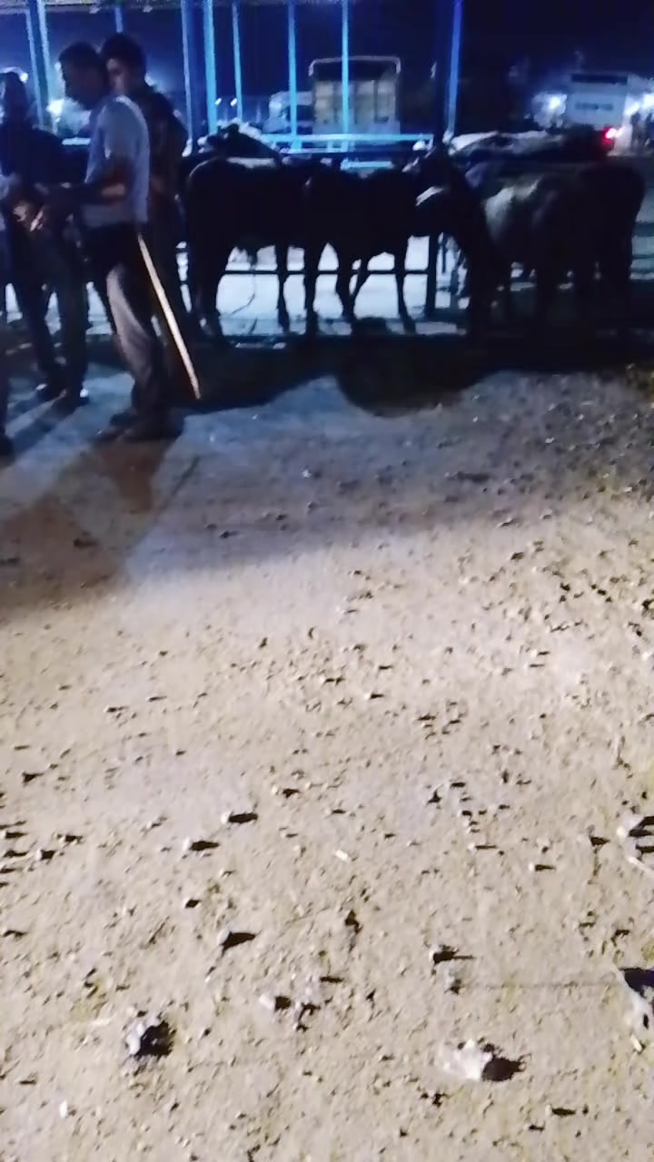 @RZA BƏRDƏLİ 09