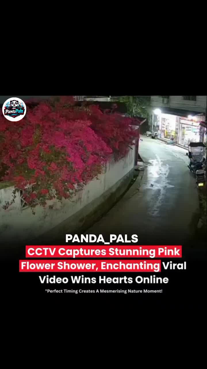 @PandaPals