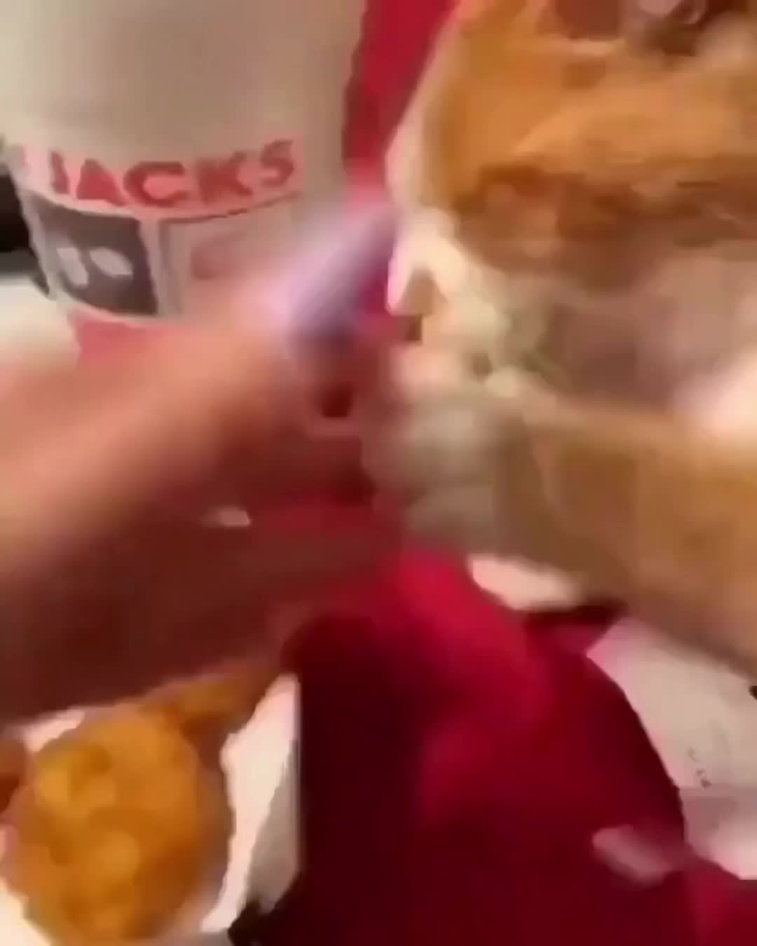 @🐈