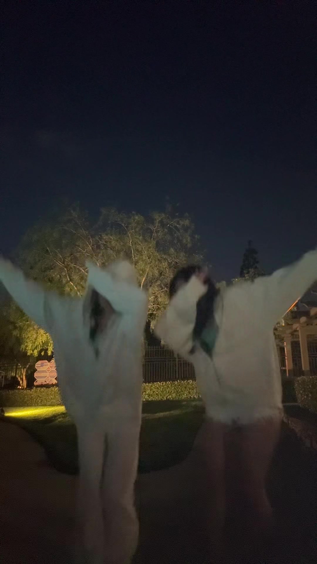 @miya🪽