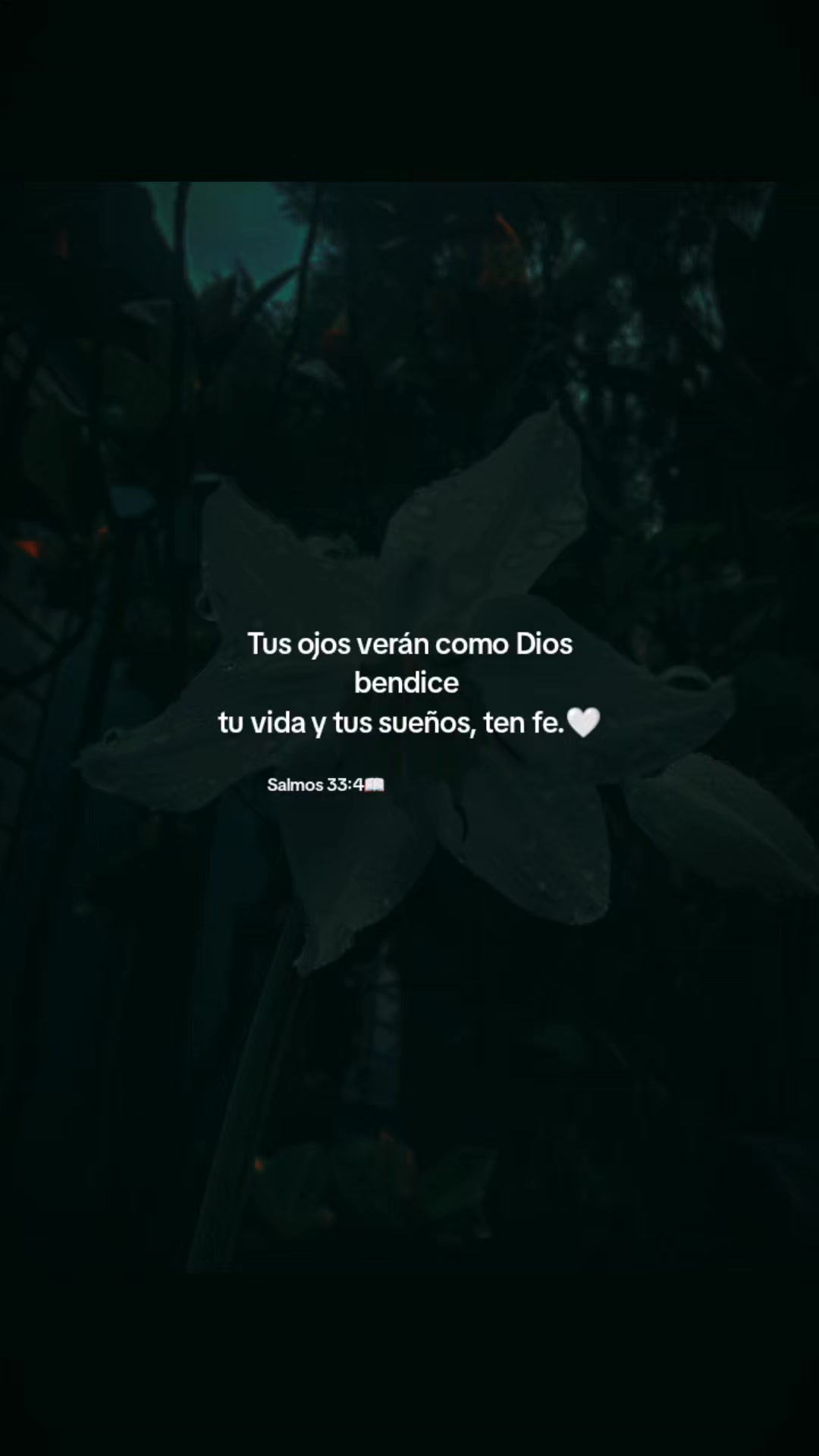 @betzabe🥰